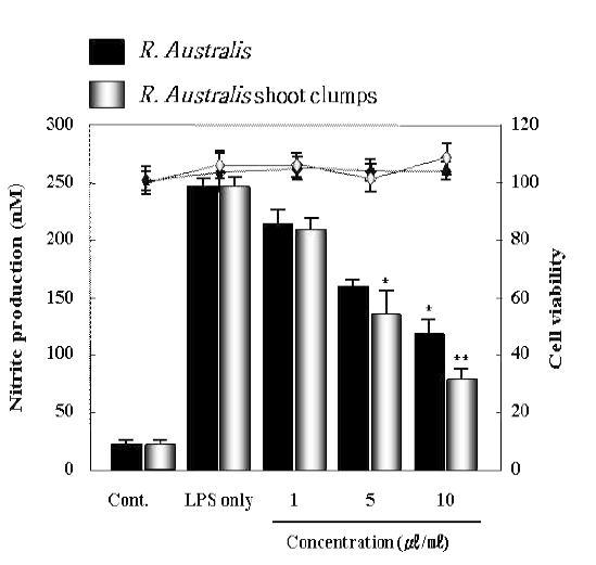 Effects of the natural Raoulia australis and the tissue-cultured Raoulia australis shoot clumps on cell viability and nitrite production in LPS-stimulated Raw 264.7 macrophages.