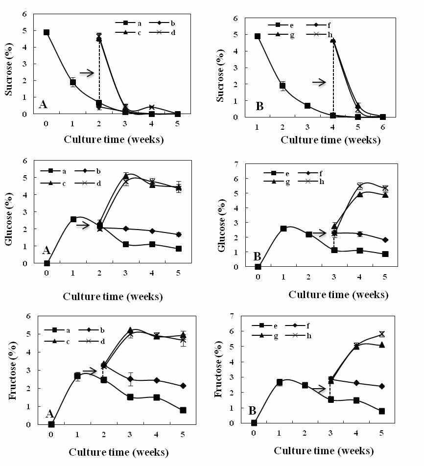 Changes of soluble sugars in the medium during 5 weeks of bioreactor culture of E. angustifolia adventitious roots as affected by medium replenishment. Arrows represent time for medium replenishment. Bars represent means ± S.E. (n=3).