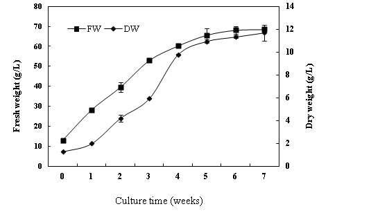Changes of fresh and dry weight during 7 weeks of bioreactor culture of E. angustifolia adventitious roots. Bars represent means ± S.E. (n=3).