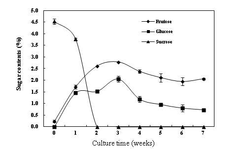 Changes of glucose, fructose and sucrose contents in the medium during 7 weeks of bioreactor culture.