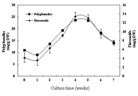 Changes in contents of total polyphenolics and total flvonoids in the adventitious roots of E. angustifolia during 7 weeks of bioreactor culture. Bars represent means ± S.E. (n=3).