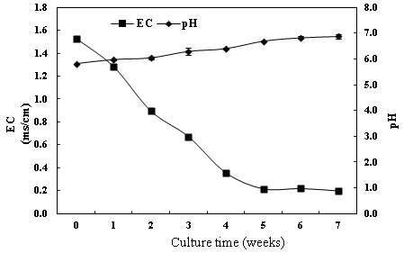 Changes of EC and pH in the medium during 7 weeks of bioreactor culture. Bars represent means ± S.E. (n=3).