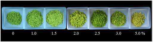 PLBs of Den. candidum growth in different sucrose concentration for 5 weeks of culture.
