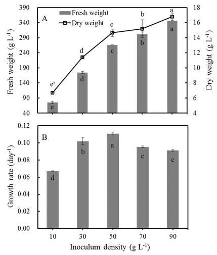 Effect of inoculum density on fresh weight, dry weight (A) and growth rate (B) of Den. andidum PLBs after 5 weeks culture in bioreactor. Bars represent means ± S.E.(n=3). zMean separation within columns by Duncan’s multiple range test at 5% level.