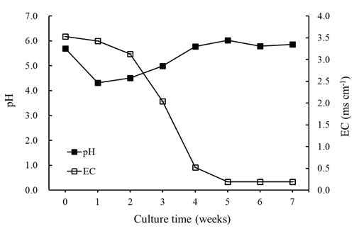 Changes of EC and pH in the medium during 7 weeks of bioreactor culture. Bars represent means ± S.E. (n=3).