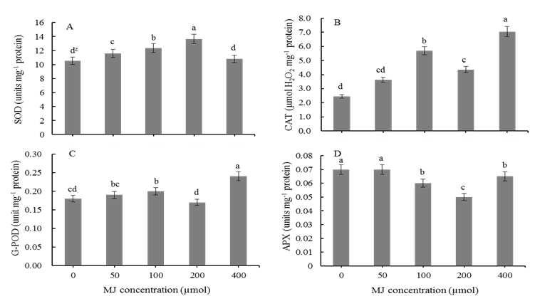 Activities of antioxidant enzymes: SOD (A), CAT (B), G-POD (C) and APX (D) in the PLBs of Den. candidum as affected by methyl jasmonate concentration for 1 week. Bars represent means ± S.E. (n=3). zMean separation within columns by Duncan’s multiple range test at 5% level.