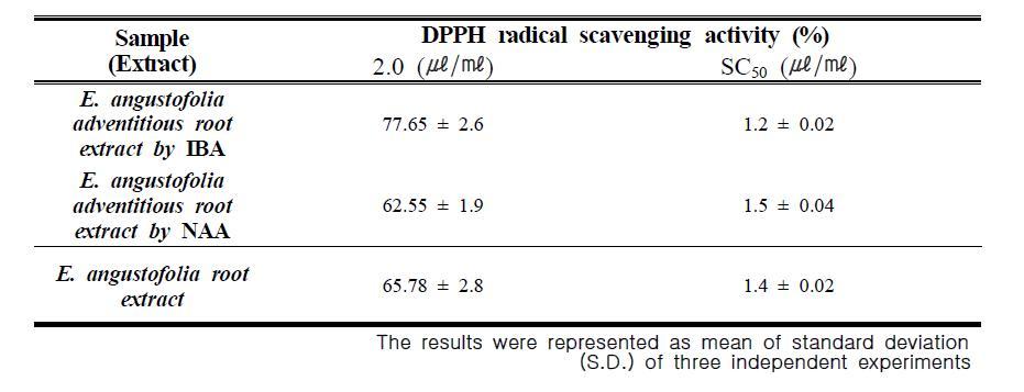 Effect of radical scavenging activity of E. angustofolia adventitious root by DPPH assay.