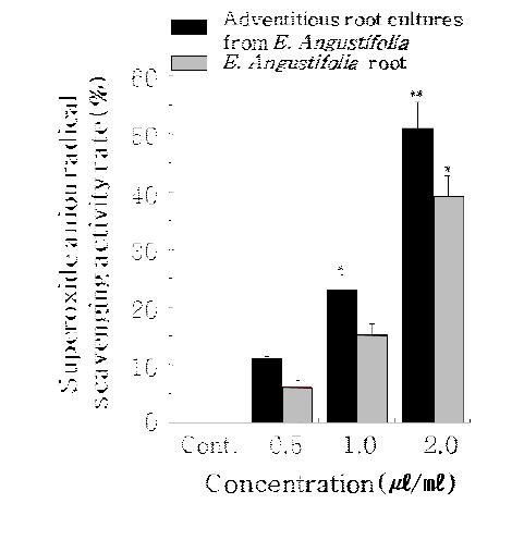 NBT superoxide radical scavenging activities of the adventitious root extract cultures from Echinacea angustifolia and Echinacea angustifolia root extract. Assay were treated with various concentrations of the extract and free radical scavenging activity measured by NBT assay as described in Materials and Methods. The results were represented as mean of standard deviation (S.D.) of three independent experiments.**, p ＜ 0.01; *, 0.01＜ p ＜0.05 versus control