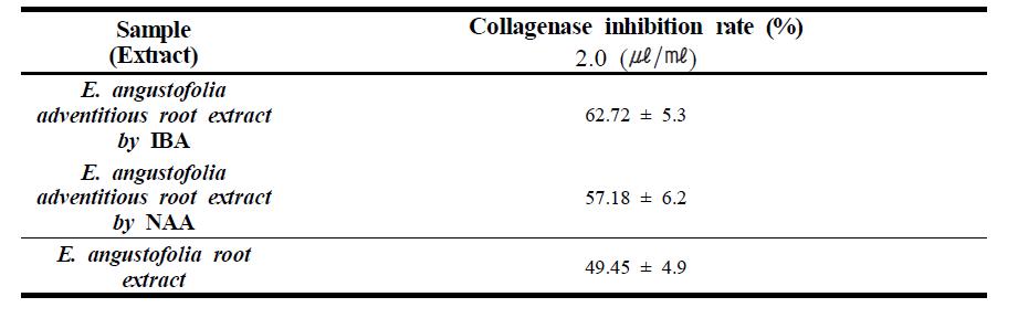 Effect of collagenase inhibition activity A. formosanus plantlet extract.