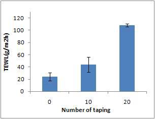 Taping 횟수에 따른 TEWL의 변화