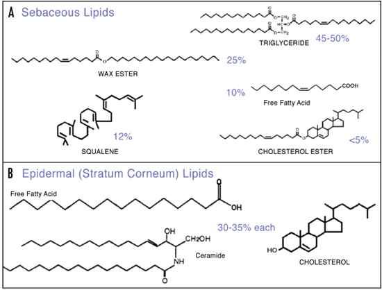 Representative structure of Epidermal Surface Lipid