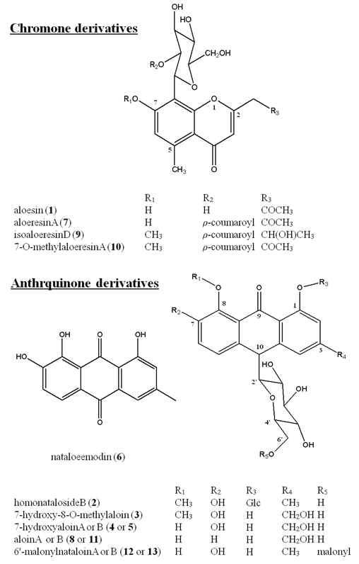 UPLC-Q-TOF-MS 분석 및 다변량 통계분석에 의해 구분지어지는 대사체 구조