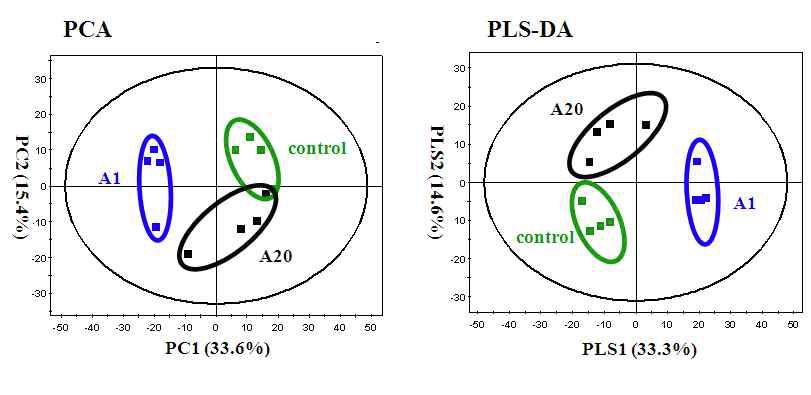 GC-MS 분석에 의한 알로에 새순 처리한 샘플의 PCA, PLS-DA score plots