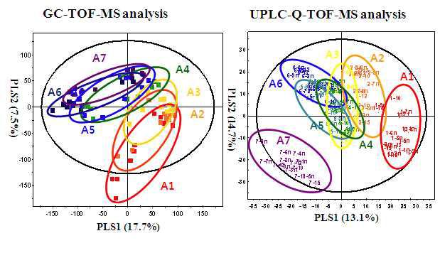 GC-TOF-MS 및 UPLC-Q-TOF-MS 분석에 의한 알로에 시기별 대사체 변화 양상 (A1-A7). PLS-DA score plots.