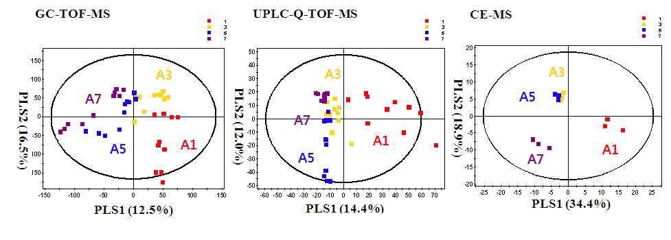 GC-TOF-MS, CE-MS 및 UPLC-Q-TOF-MS 분석에 의한 알로에 시기별 대사체 변화 양상 (A1, A3, A5, A7). PLS-DA score plots.