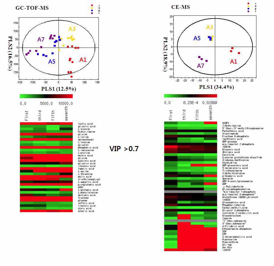 GC-TOF-MS, CE-MS 분석에 의한 알로에 시기별 대사체 변화 양상 (A1, A3, A5, A7)을 보여주는 PLS-DA score plots 및 주요 동정 대사체 변화 (Heatmap).