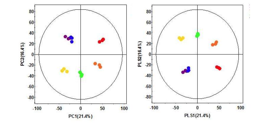 UPLC-Q-TOF-MS 분석에 의한 식재한 알로에 베라 새순의 시기별 PCA, PLS-DA score plots