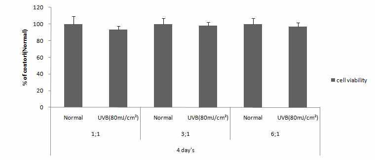 Fibroblast/Keratinocyte 비율이 UVB에 의한 세포독성에 미치는 영향 (94 h 처리)