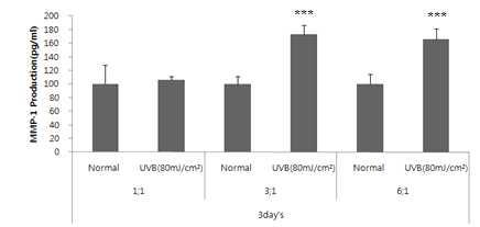 Fibroblast/Keratinocyte 비율이 UVB에 의한 MMP-1 생성에 미치는 영향 (72 h 처리)