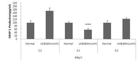 Fibroblast/Keratinocyte 비율이 UVB에 의한 MMP-1 생성에 미치는 영향 (94 h 처리)