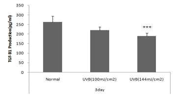 UVB dose에 의한 TGFβ-1 생성의 변화