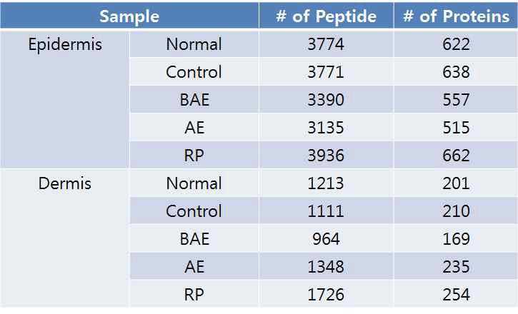 무모쥐의 피부 표피층 및 진피층에서 분석된 total peptide 및 protein 수