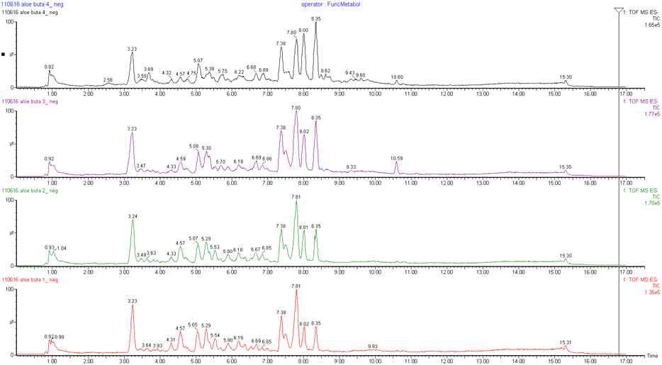 크기별 알로에 시료의 UPLC-Q-TOF-MS TIC