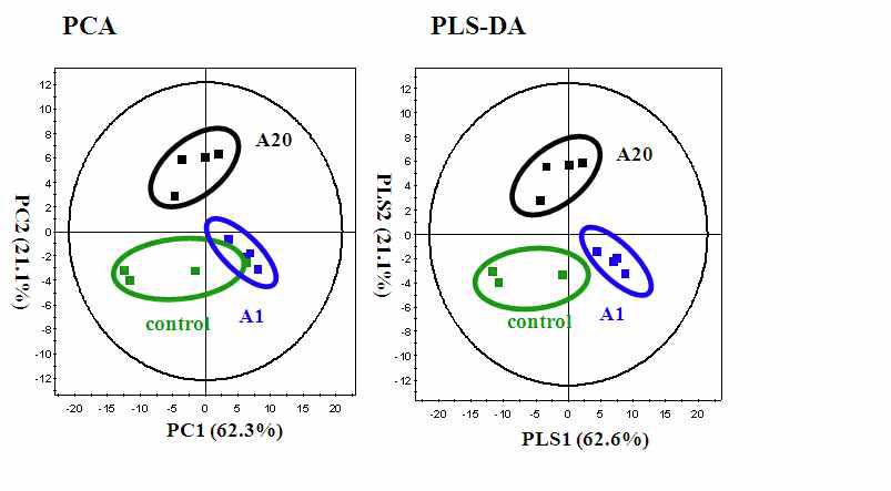 UPLC-Q-TOF-MS 분석에 의한 알로에 새순 처리한 샘플의 PCA, PLS-DA score plots