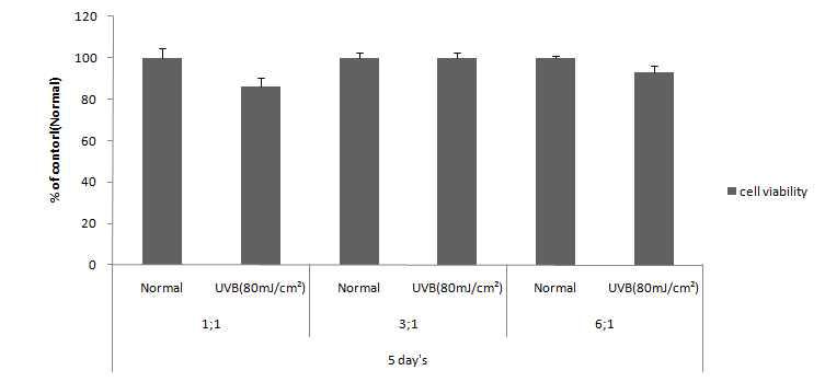 Fibroblast/Keratinocyte 비율이 UVB에 의한 세포독성에 미치는 영향 (116 h 처리)