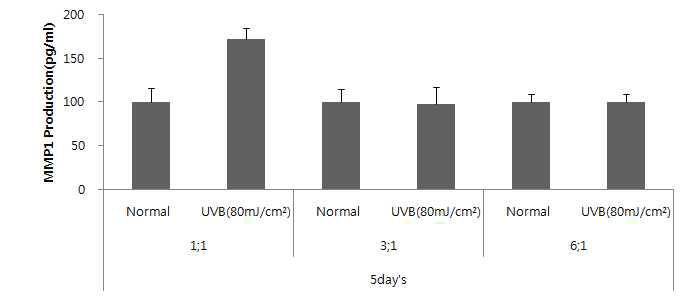 Fibroblast/Keratinocyte 비율이 UVB에 의한 MMP-1 생성에 미치는 영향 (116 h 처리)