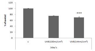 UVB dose에 의한 세포생존률의 변화