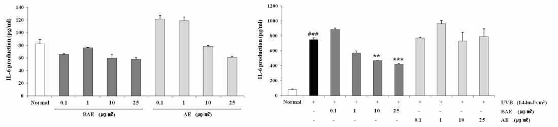 NHDF에서 알로에 시료가 IL-6의 생성에 미치는 영향 좌 : UVB를 처리하지 않은 상태, 우 : UVB 144 mJ/cm2을 처리한 상태