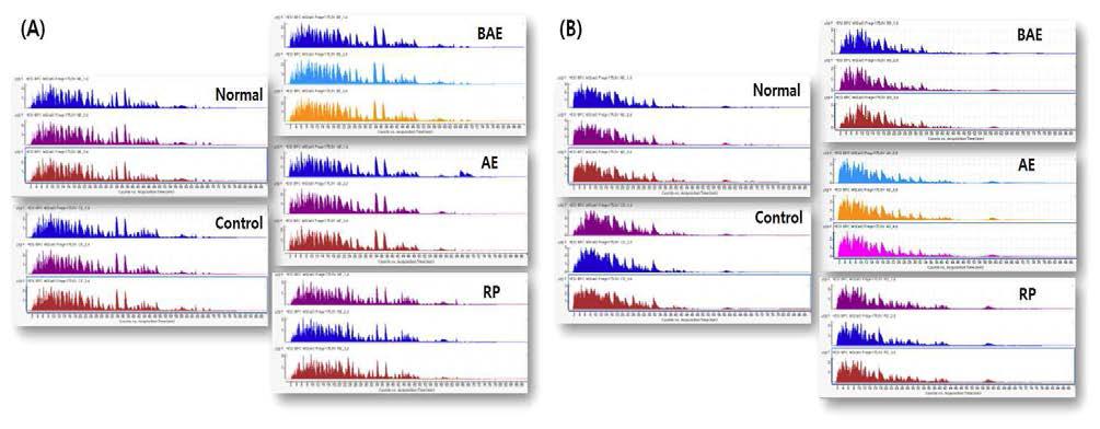 무모쥐의 피부 (A) 표피층 및 (B) 진피층에서의 total peptide chromatogram