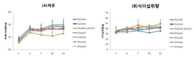 광노화 동물모델에서의 (A) 체중 및 (B) 식이섭취량 측정