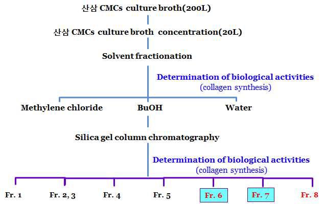 산삼 CMCs 배양액 활성분획 Fr.3-6,7 제조 과정 모식도