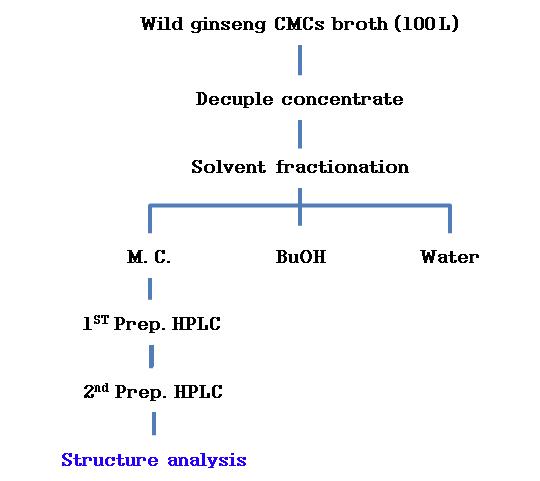산삼 CMCs 배양액 Methylene chloride 용매분획의 분리과정 모식도