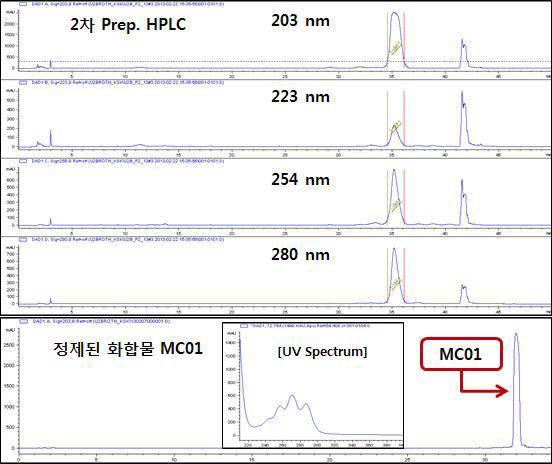WGBMC01 화합물의 순도 확인 및 2차 Prep. HPLC Chromatogram