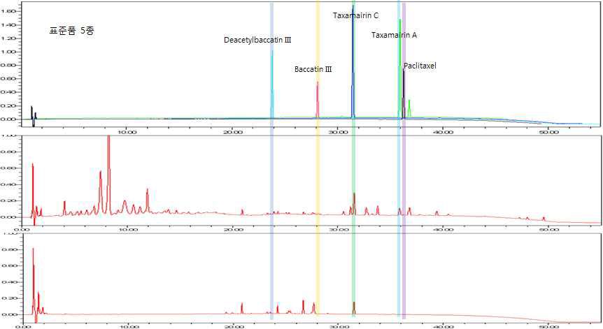 주목나무 CMCs 및 배양액과 표준품 5종의 HPLC chromatogram 비교