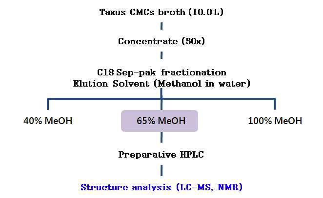 주목나무 CMCs 배양액에서 화합물의 분리과정 모식도