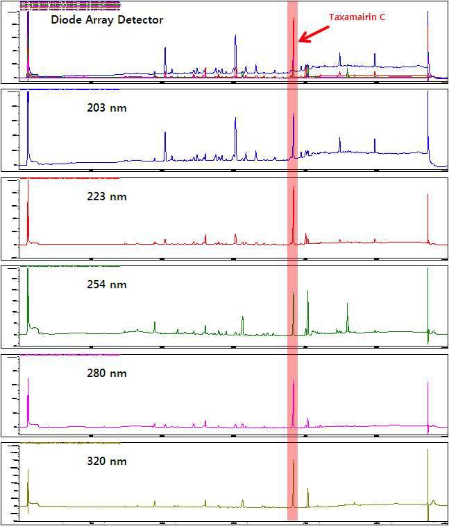 주목나무 CMCs 배양액 농축물의 파장별 HPLC 분석결과