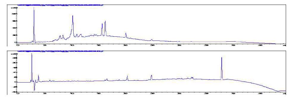 은행나무 CMCs 및 배양액의 분석 HPLC chromatogram 비교