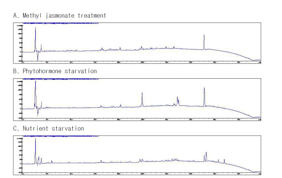 은행나무 CMCs 배양액의 생산 배양 조건에 따른 HPLC chromatogram