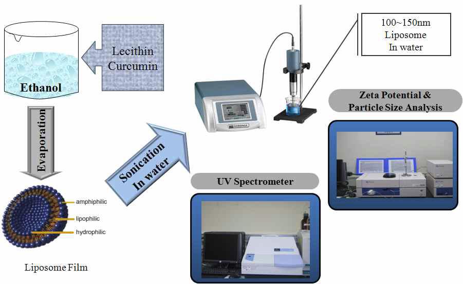 The experimental method preparing liposome with curcumin