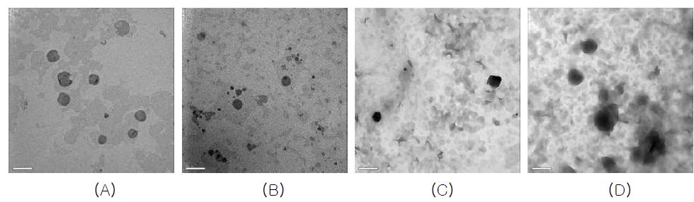 Negative stain-TEM of lecithin vesicles containing LA; (A) Lecithin/LA=1:0, (B) Lecithin/LA=1:0.25, (C) Lecithin/LA=1:0.5, (D) Lecithin/LA=1:1 on a molar ratio