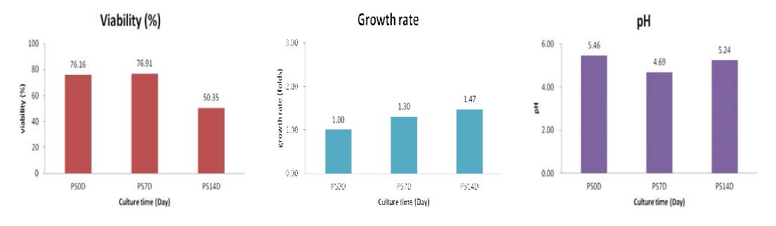 주목나무 CMCs의 생산배양 기간 중 SA treatment에 의한 Cell viability (%), Growth rate (folds), pH