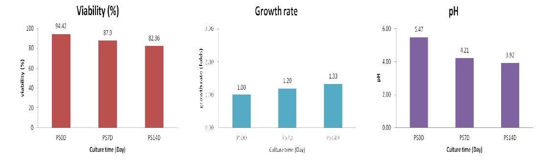 은행나무 CMCs의 생산배양 기간 중 SA treatment에 의한 Cell viability (%), Growth rate (folds), pH