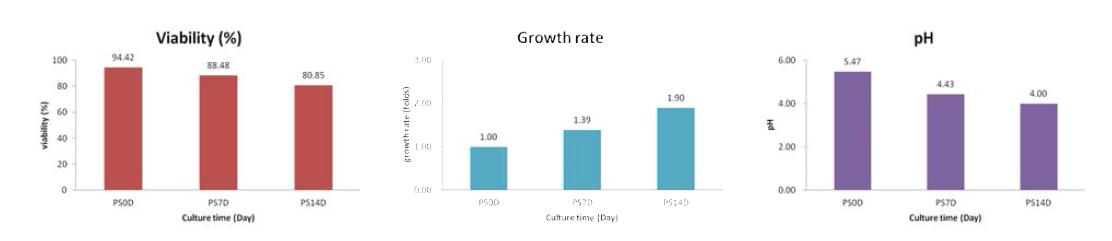 은행나무 CMCs의 생산배양 기간 중 UV irradiation에 의한 Cell viability (%), Growth rate (folds), pH