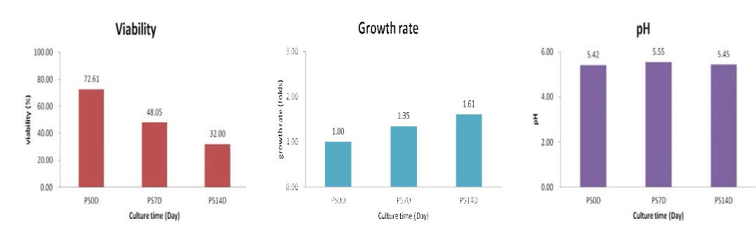 주목나무 CMCs의 phytohormone starvation의 처리에 의한 생산배양 기간 중 Cell viability (%), Growth rate (folds), pH