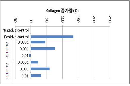 WGB01D0 와 WGB01D1의 pro-collagen 합성 활성 확인 결과