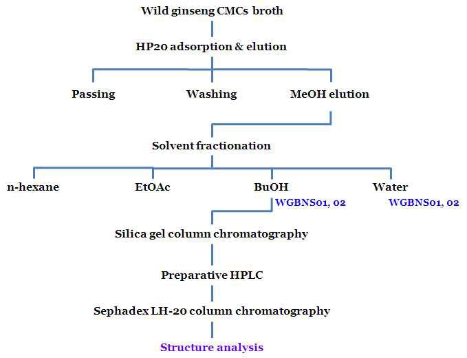 산삼 CMCs 배양액(Nutrient starvation)으로부터 WGBNS01와 WGBNS02 분리 모식도